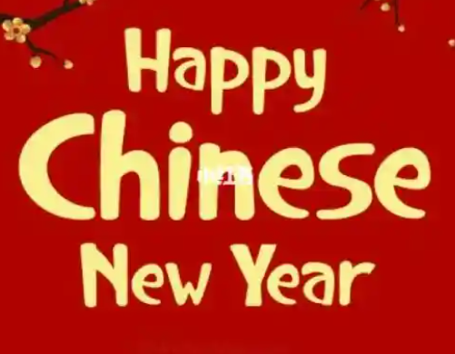 Holiday notice --- 2025 Chinese New Year